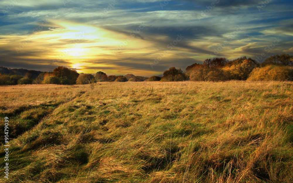 Obraz premium Wild Windy Sunset In The Fields