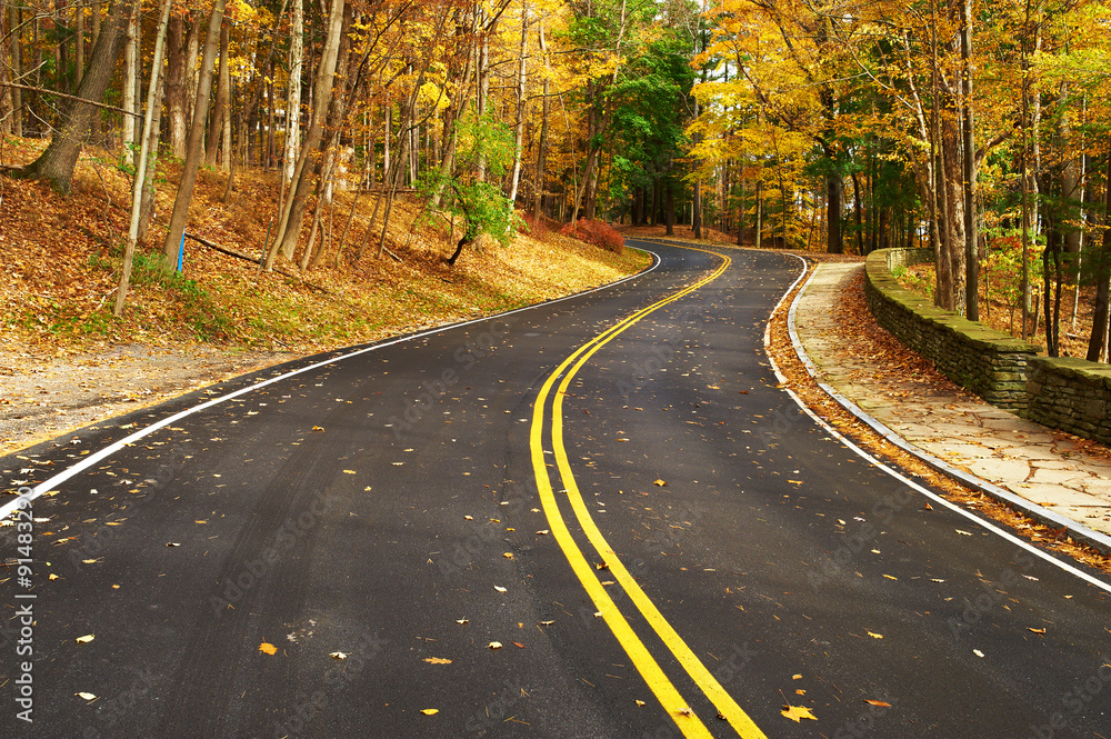 Fototapeta premium Autumn scene with road in forest