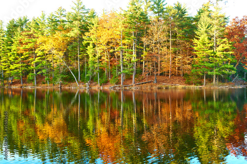 Pond in White Mountain National Forest, New Hampshire