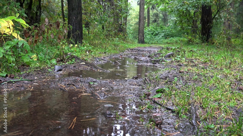 Heavy rain in a puddle on a forest path. Heavy rain in a puddle on a forest path.