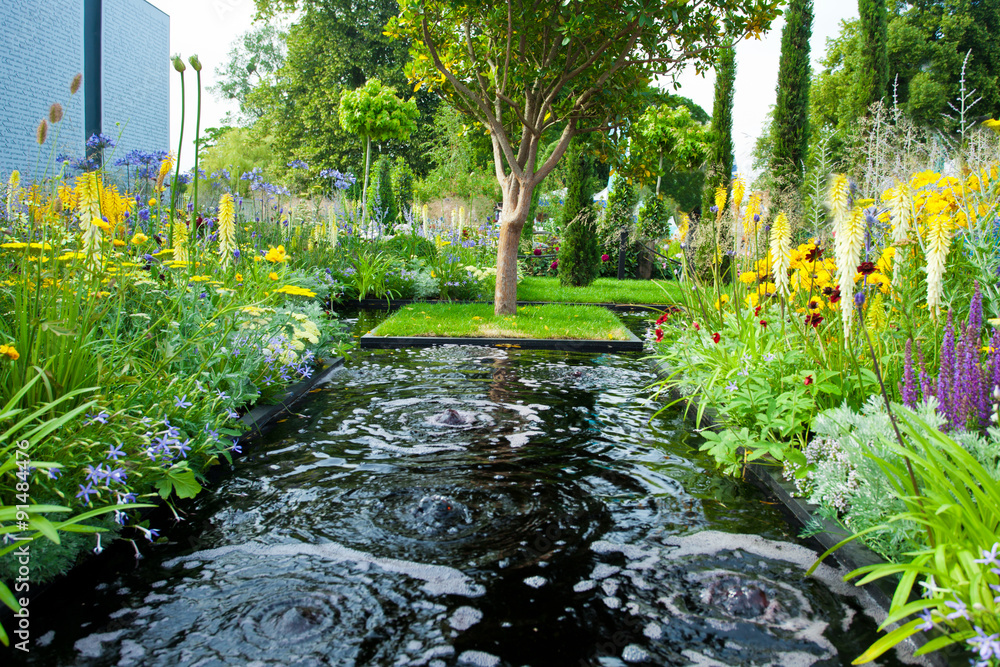 Tranquil garden Tranquil garden