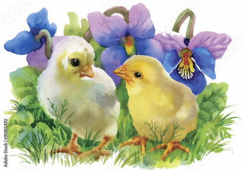 Yellow Watercolor chickens over garden flowers background vector