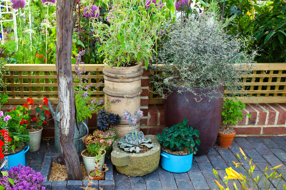 Tranquil garden