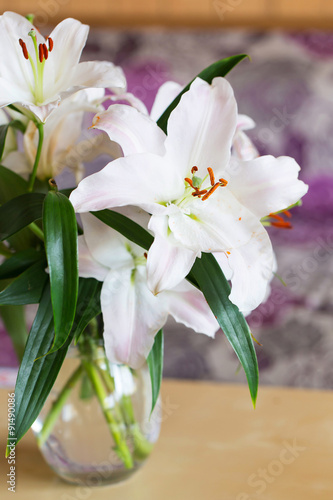 Fototapeta Naklejka Na Ścianę i Meble -  Pink lily flower