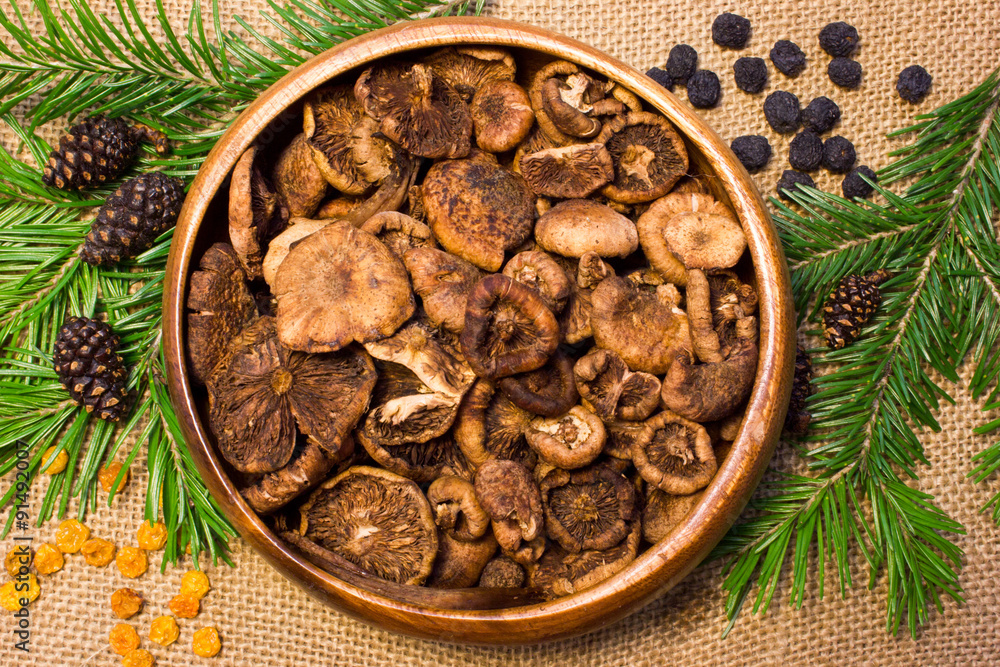 Obraz premium mushrooms with pine branches