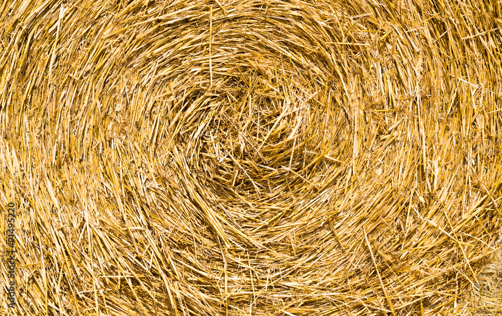 Closeup of a Yellow Round Straw Bale Closeup of a Yellow Round Straw Bale