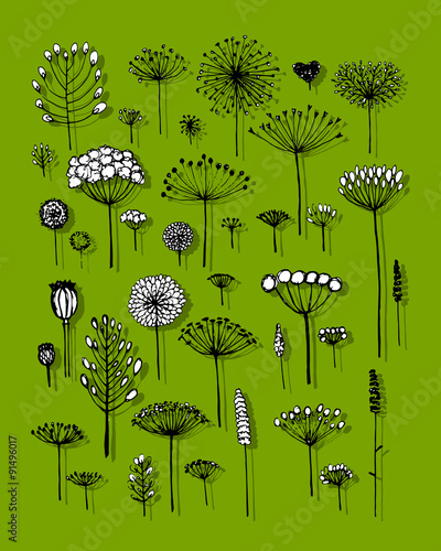 Floral collection, sketch fro your design