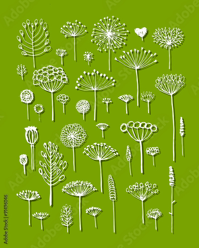 Floral collection, sketch fro your design