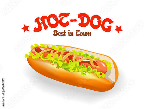 vector illustration of delicious hot dog