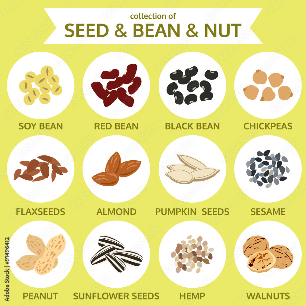 collections of seed & bean & nut, food icon vector illustration collections of seed & bean & nut, food icon vector illustration