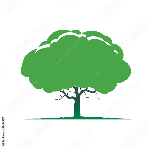 Illustration of green tree.