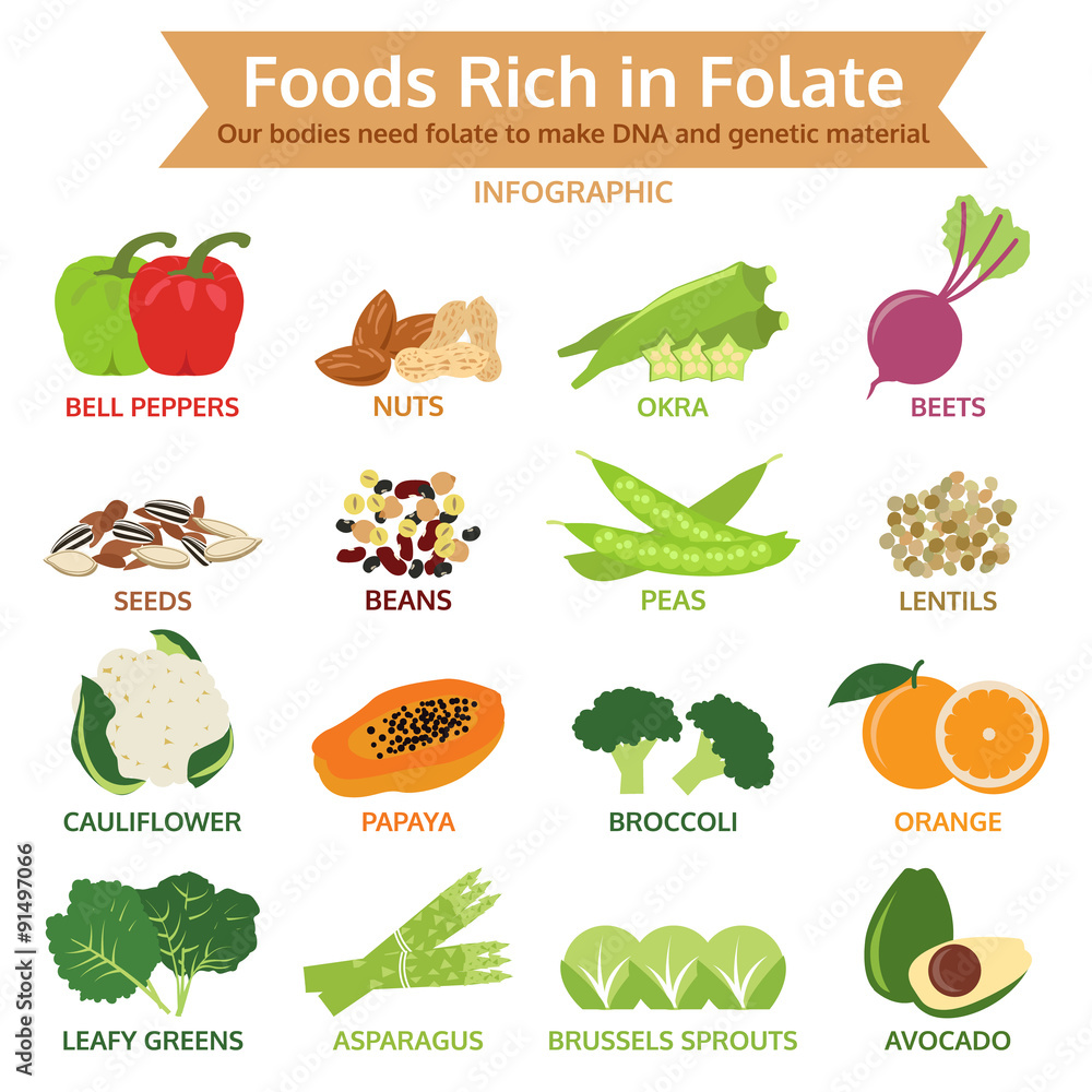 Foods Rich In Folate Vegetable And Fruit Icon Vector Illustrati Stock 
