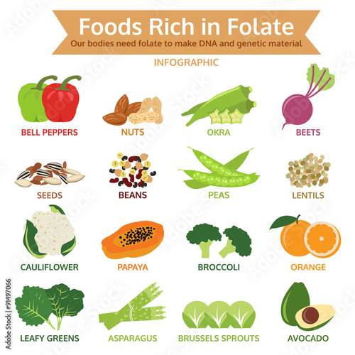 foods rich in folate, vegetable and fruit icon vector illustrati