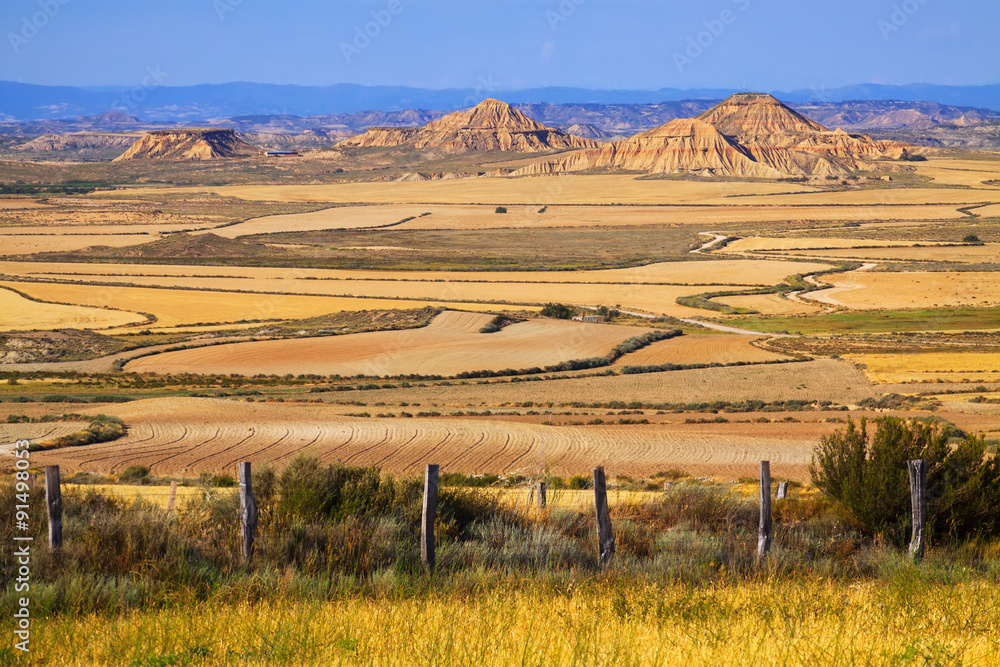  semi-desert landscape
