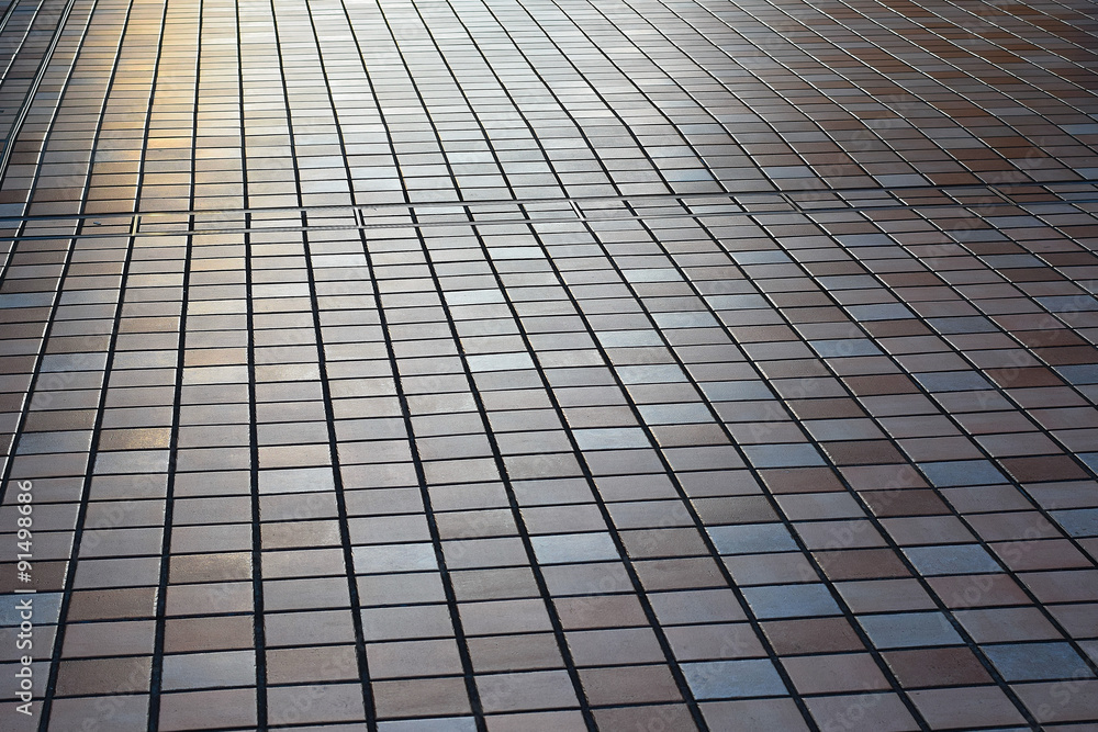 Japan Pedestrian Walkway Japan Pedestrian Walkway