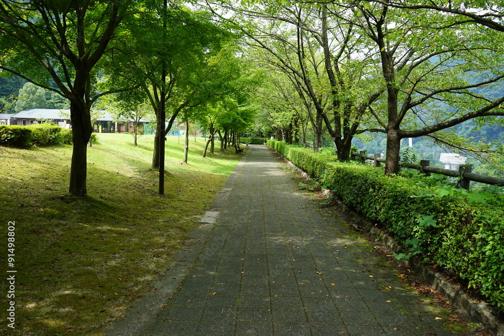 山道 山道