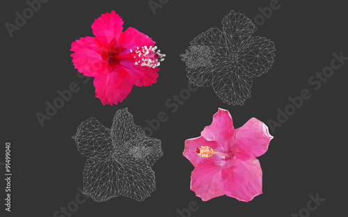 Hibiscus rosa sinensis in geometric polygon style vector in black background photo
