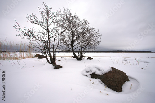 Finsky gulf of the Baltic sea in winter