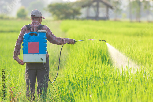 spraying pesticide