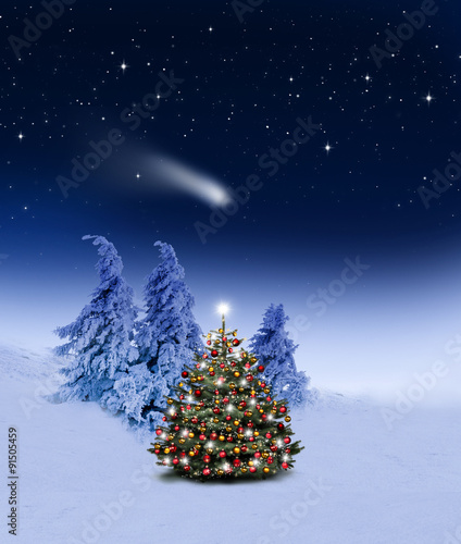 Weihnachtsbaum im Winterwald