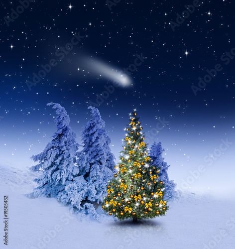 Weihnachtsbaum im Winterwald