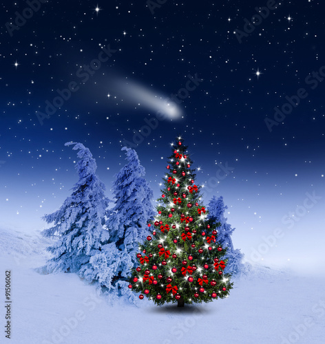 Weihnachtsbaum im Winterwald