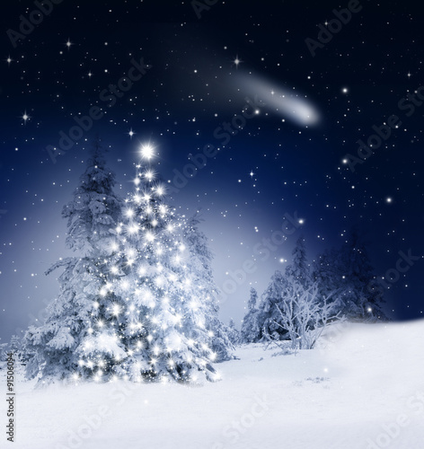 Weihnachtsbaum im Winterwald