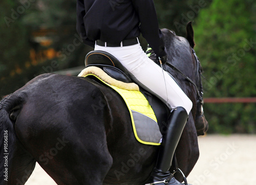 Friesian dressage horse with rider during training