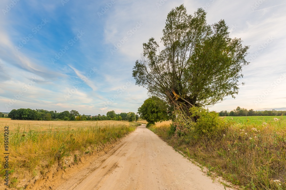 Country rural sandy road near fields Country rural sandy road near fields