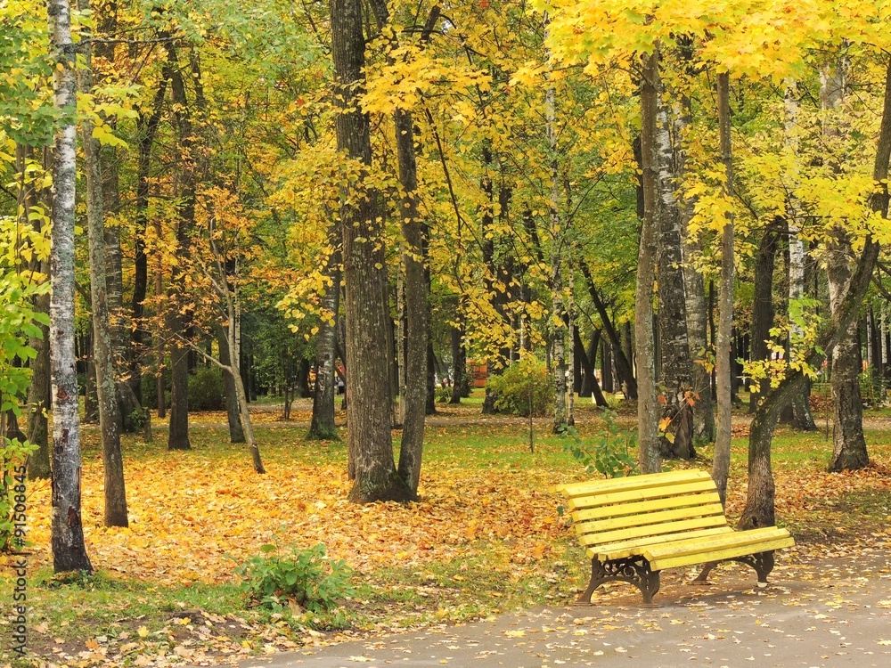Yellow bench in the autumn park landscape natural background backdrop.