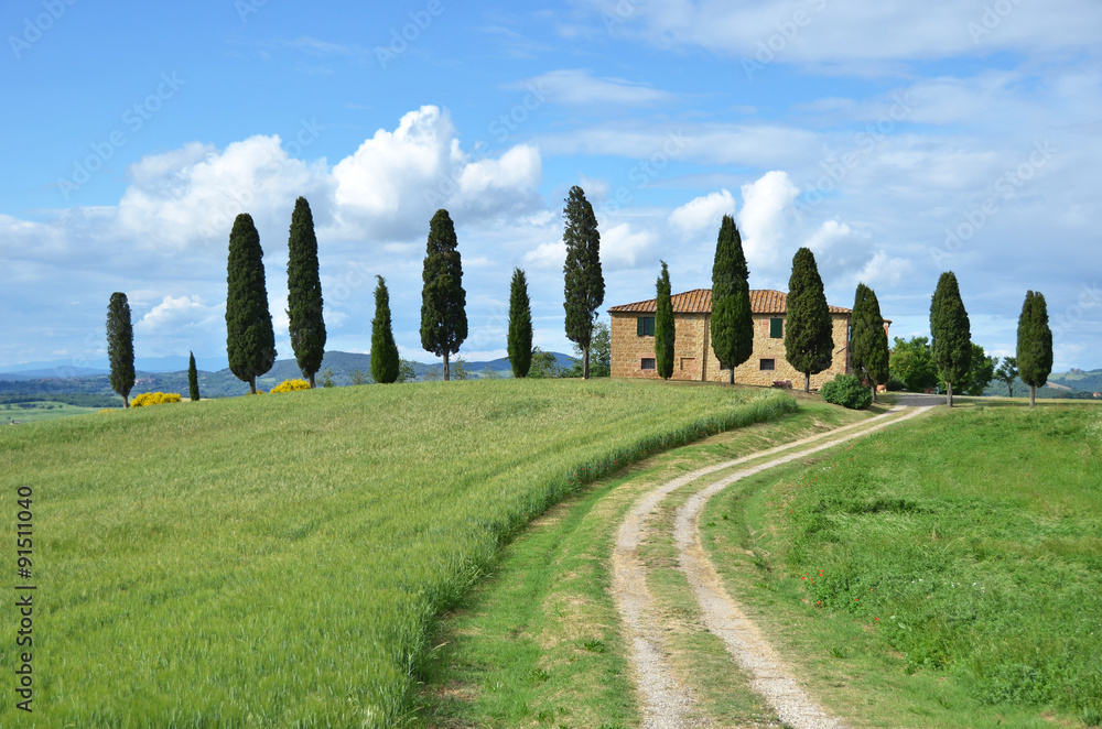 Typical Tuscan landscape. Italy