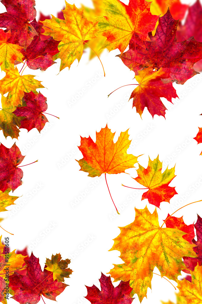 Herbstkarte bunt Herbstkarte bunt