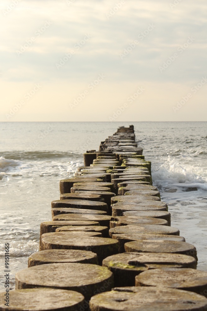 Fototapeta premium Holzpfähle an der Ostsee