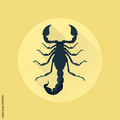 scorpion