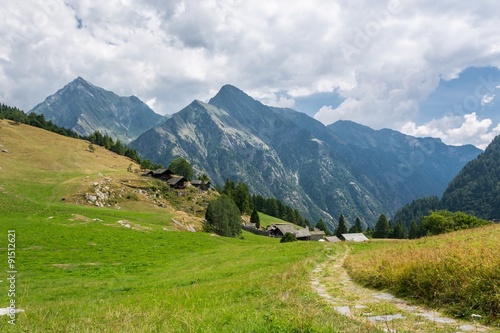 Alpine meadow. © anzebizjan