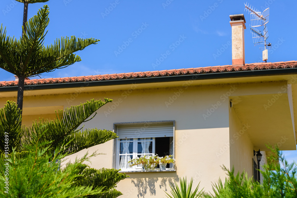 Fototapeta premium facade of the private house