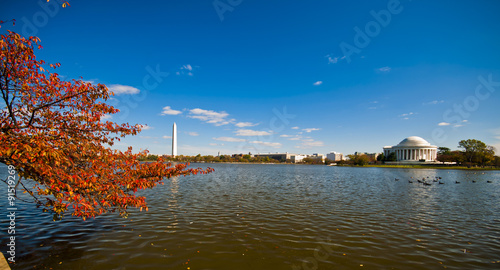 Jefferson Memorial and the Tidal Basin photo