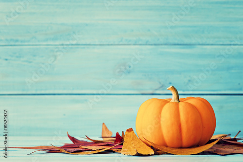 Pumpkin and autumn leafs over turquoise wood