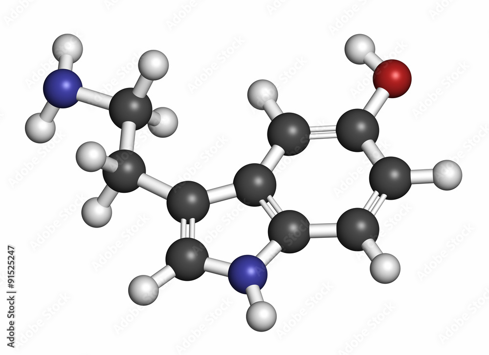 Serotonin neurotransmitter molecule. Serotonin neurotransmitter molecule.