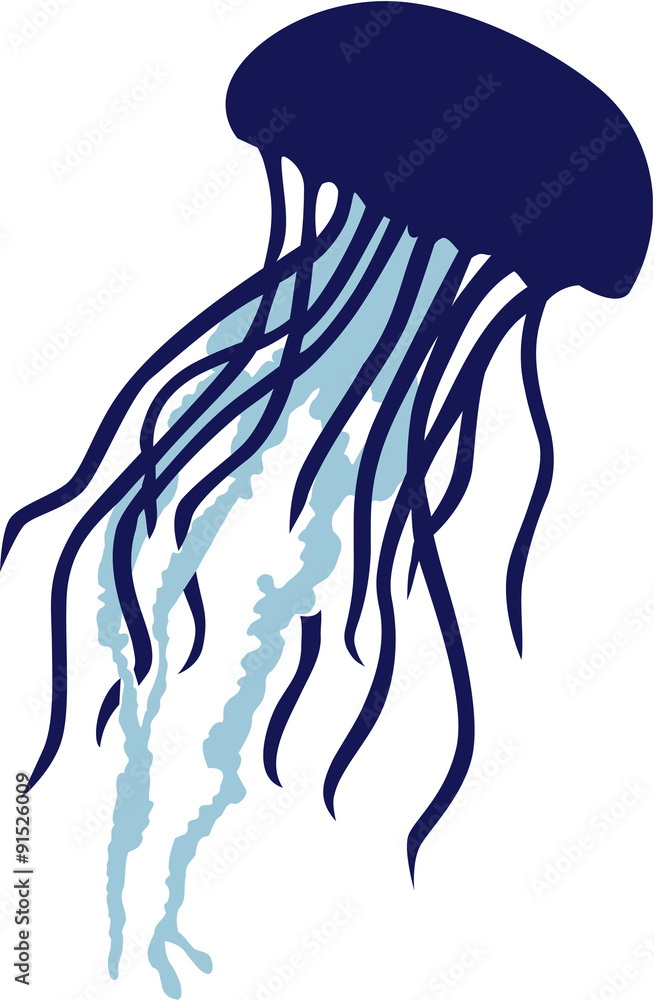 Fototapeta premium Real Jellyfish silhouette in two colors