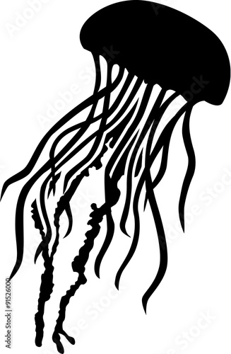 Jellyfish silhouette