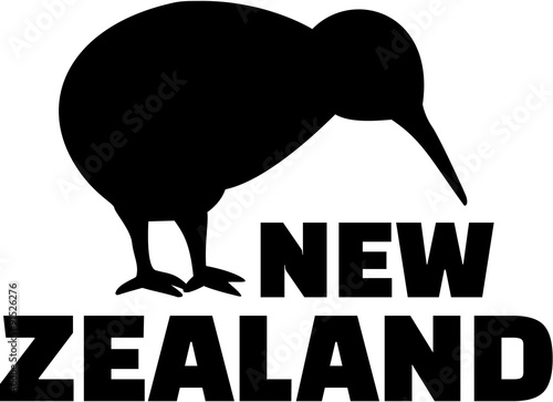 Kiwi bird New Zealand