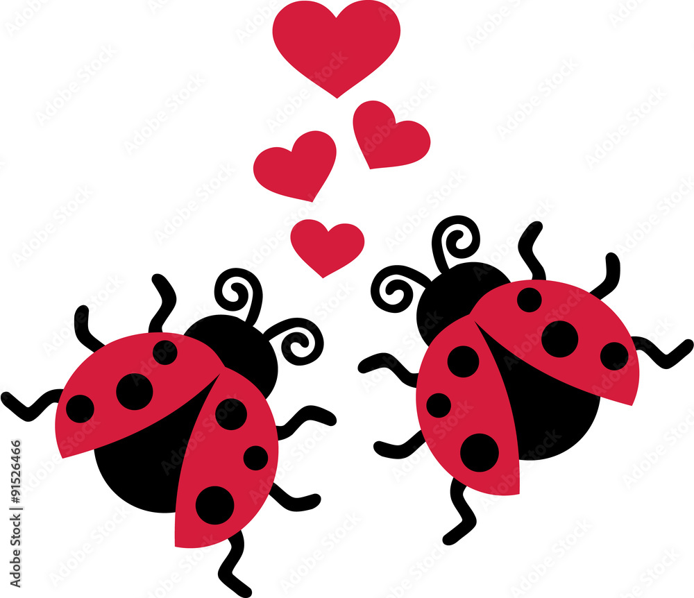 Fototapeta premium Two Ladybugs in love