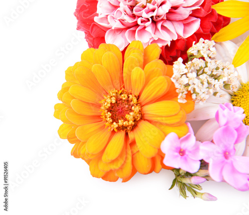 Fresh colorful flowers isolated on white