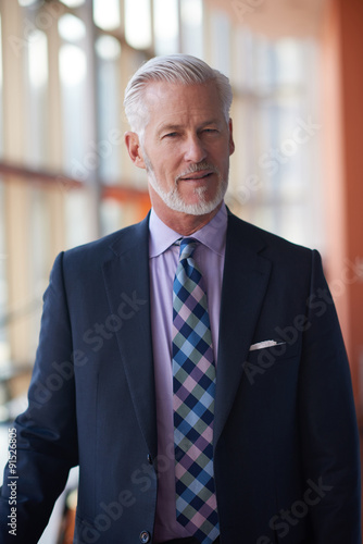 senior business man portrait © .shock