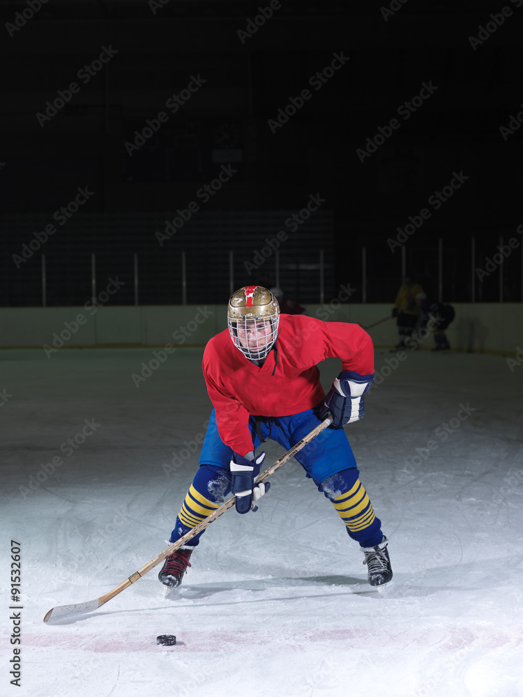 Obraz premium ice hockey player in action