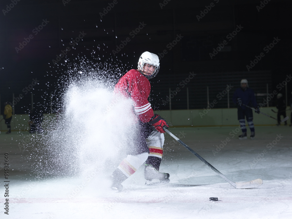 Fototapeta premium ice hockey player in action