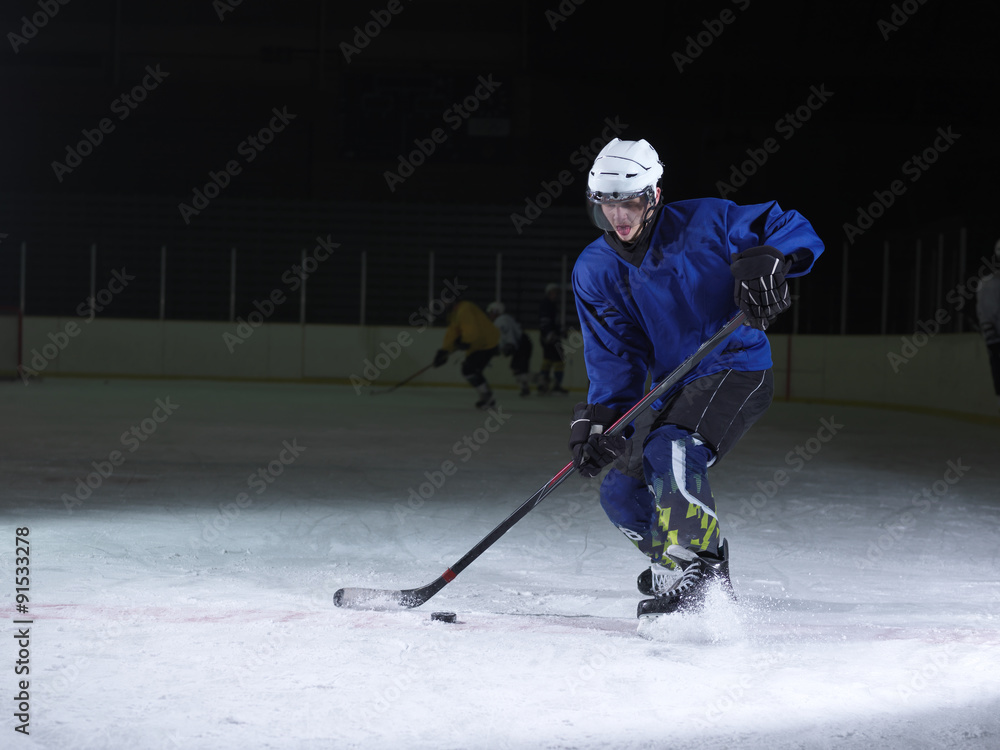 Fototapeta premium ice hockey player in action