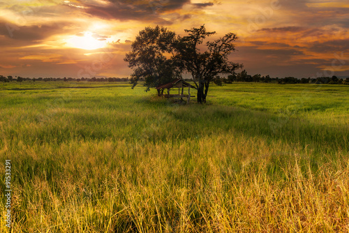 sunset landscape