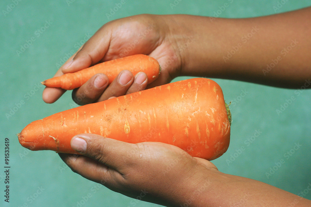 GMO carrot - obrazy, fototapety, plakaty 